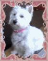 vote f�r mich